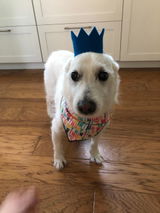 Etsy customer review photo