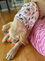 Etsy customer review photo