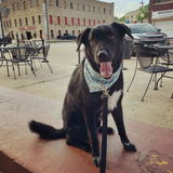 Etsy customer review photo