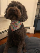 Etsy customer review photo