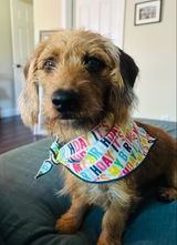 Etsy customer review photo