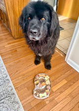 Etsy customer review photo