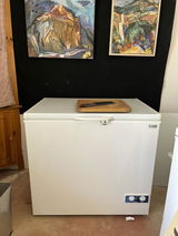 Jane Culp. Living off grid in Mojave desert for 20years happily with Sundanzer refrigerators review photo