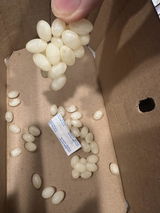 Scott Vanstone review photo
