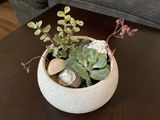 Adrienne R. review photo