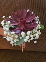 Renee W. review photo