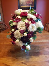 Renee W. review photo