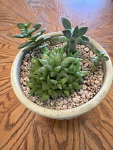 Barbara M. review photo