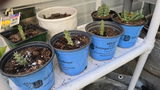MARIE C. review photo