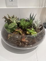 Tanda review photo