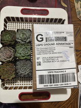 Zoila R. review photo
