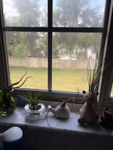 Tiffaney C. review photo