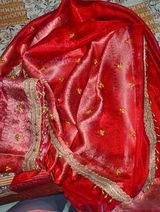 Manisha Attri review photo