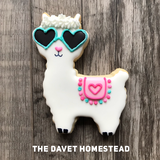 Bridget Davet review photo