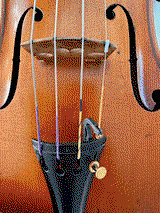 R.F. review photo