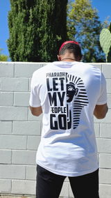 Vibin Language review photo
