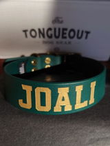 vizsla joali review photo