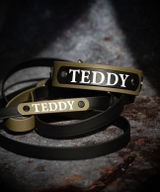 teddy review photo