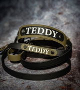 teddy review photo