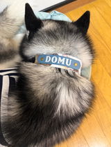 ゆき 奈木野 review photo