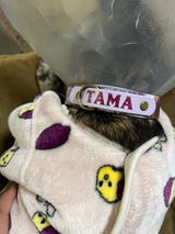 TAMA review photo