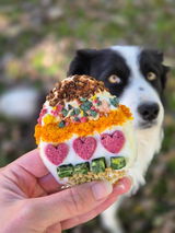 Badger Border Collie review photo