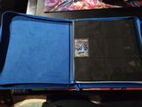 Alexander Pizana review photo