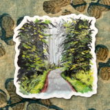 Etsy customer review photo