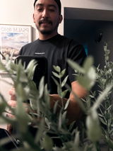 Joseperezfilms review photo