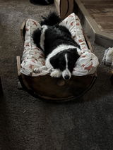 Lucy review photo