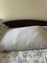 Urmila T. review photo