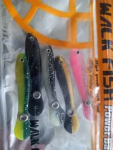 Gaylene Sporer review photo
