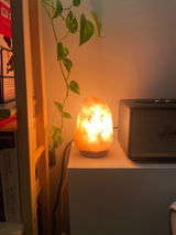 Alba review photo