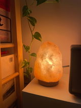 Alba review photo