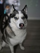 Ember review photo