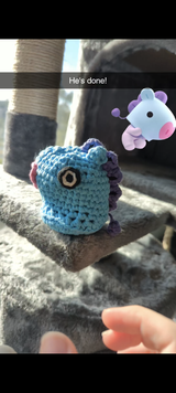S.O. review photo