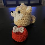 Trish D. review photo