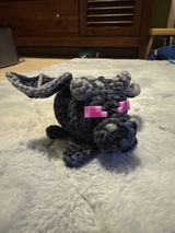 Nolan review photo