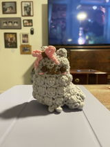 Annee review photo