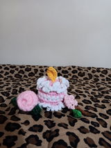Paula review photo