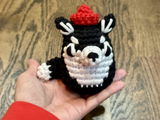 Amy W. review photo