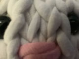 Human B. review photo