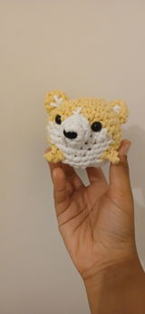Isaac review photo