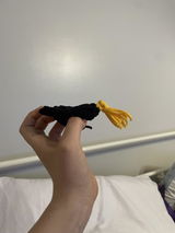 Lily review photo