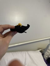 Lily review photo