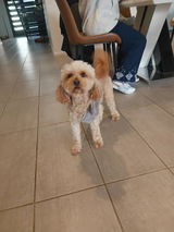 Jayden review photo
