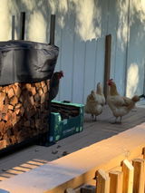 10 ft Steel Firewood Rack Holds 1/2 Cord Plus Woodhaven