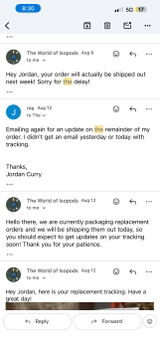 Jordan Curry review photo