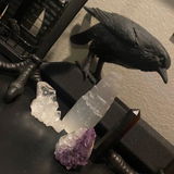 Grace C. review photo