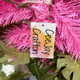 CeeJay Crafton review photo